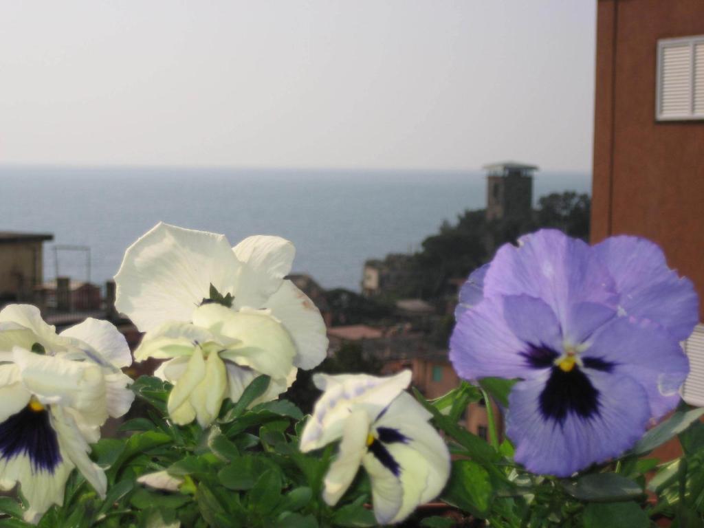 Villa Cristina Monterosso al Mare Zewnętrze zdjęcie