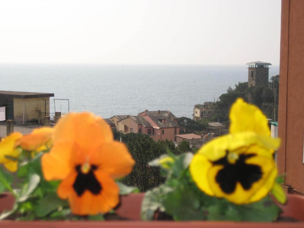Villa Cristina Monterosso al Mare Zewnętrze zdjęcie