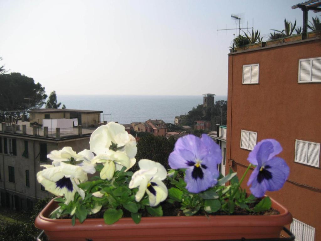Villa Cristina Monterosso al Mare Zewnętrze zdjęcie